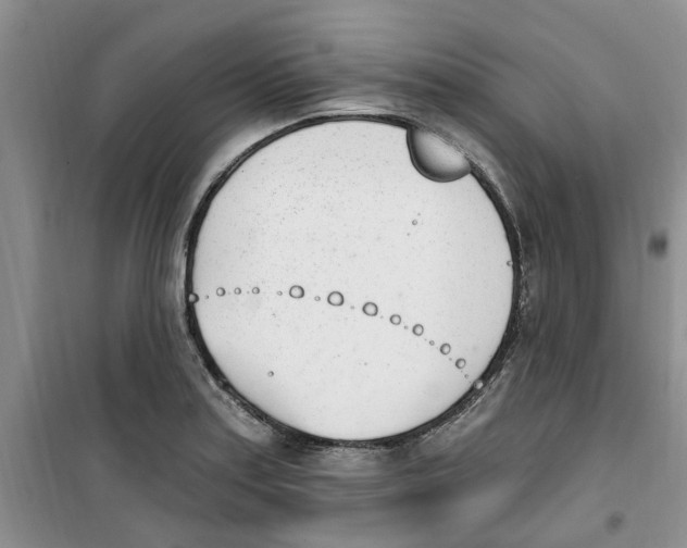 X0000100961179200807221138