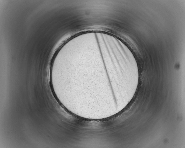 X0000100961180200807221138