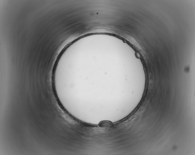 X0000100961181200807221138