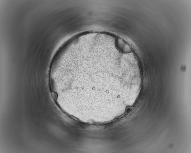 X0000100961183200807221138