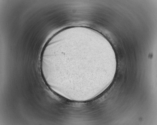 X0000100961184200807221138