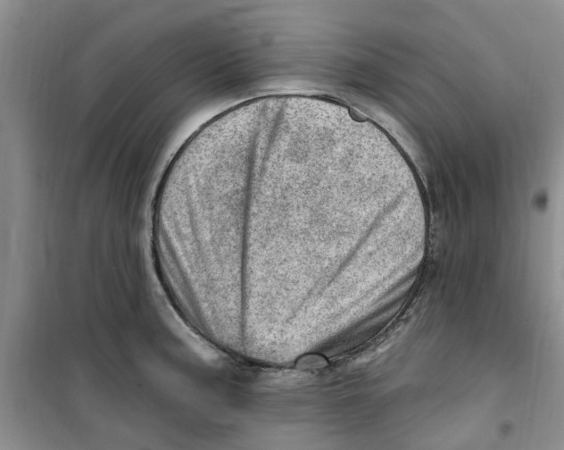 X0000100961187200807221138