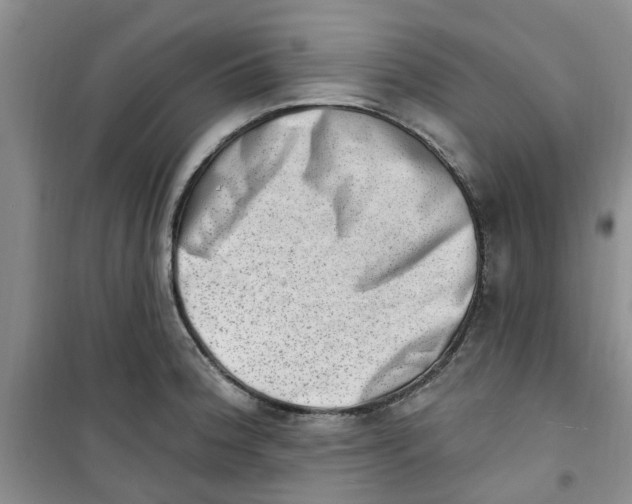 X0000100961188200807221138