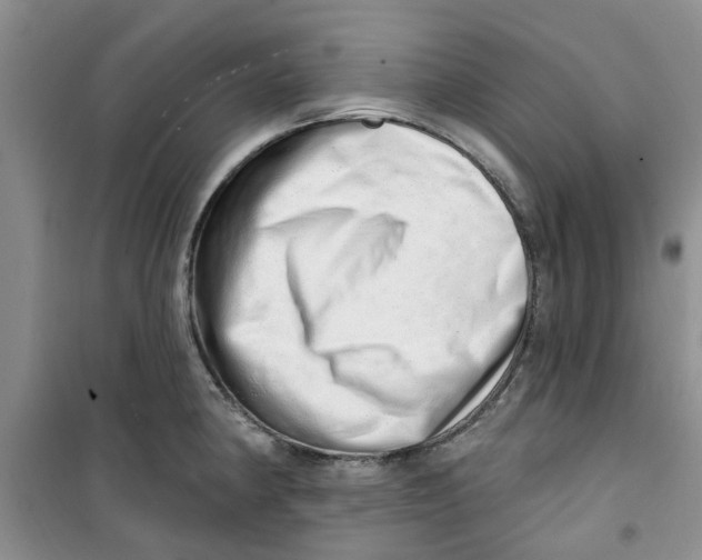 X0000100961190200807221138