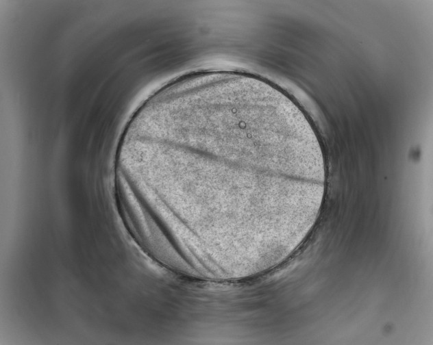 X0000100961191200807221138