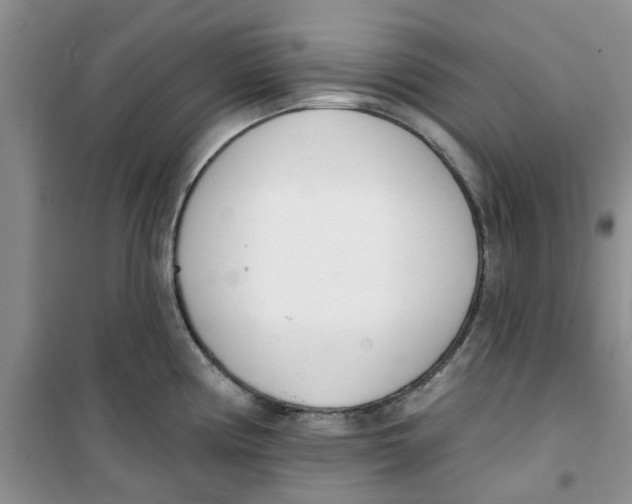 X0000100961194200807221138