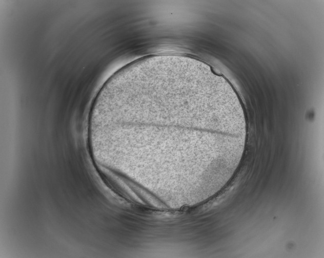 X0000100961195200807221138