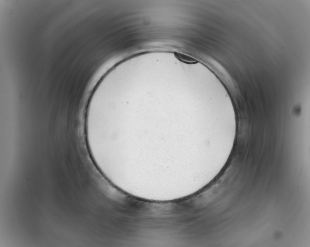 X0000100961196200807221138