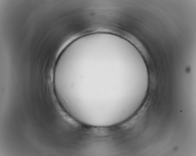 X0000100961198200807221138