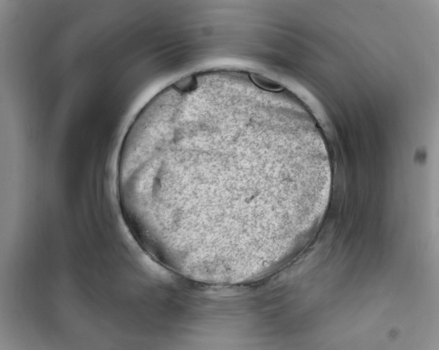 X0000100961199200807221138