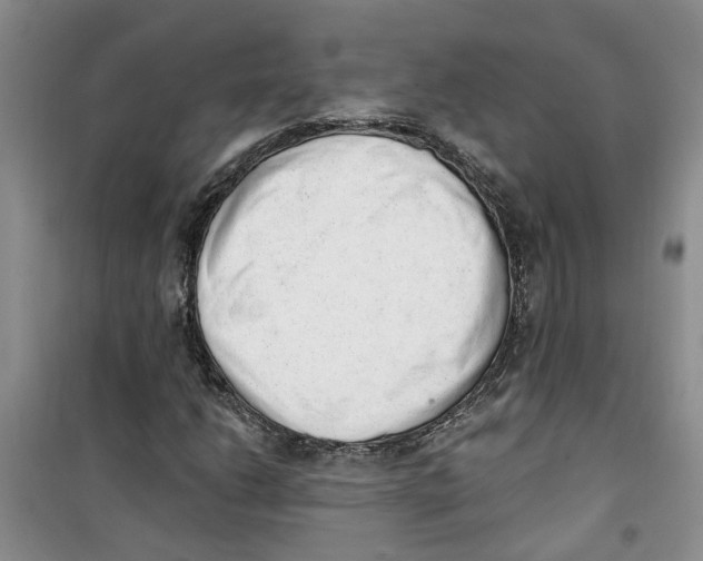 X0000100961206200807221137