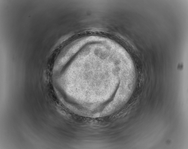 X0000100961207200807221137