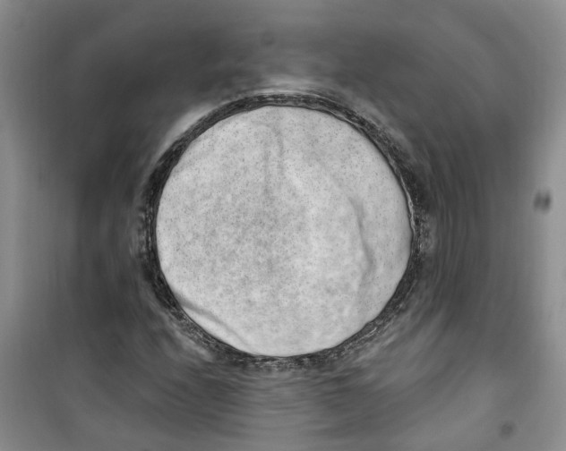 X0000100961208200807221137