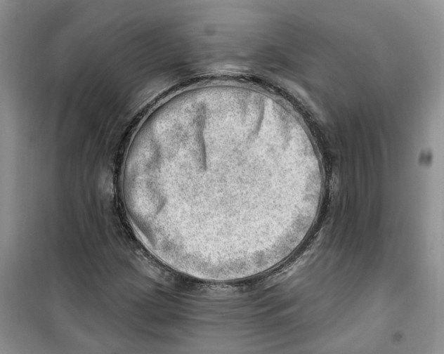 X0000100961209200807221137