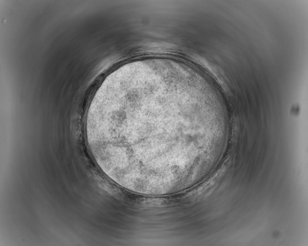 X0000100961211200807221137