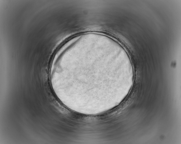 X0000100961212200807221137