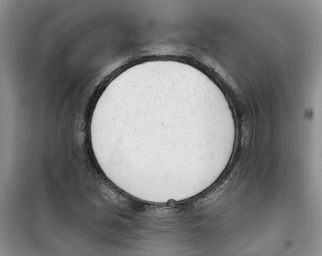 X0000100961213200807221137