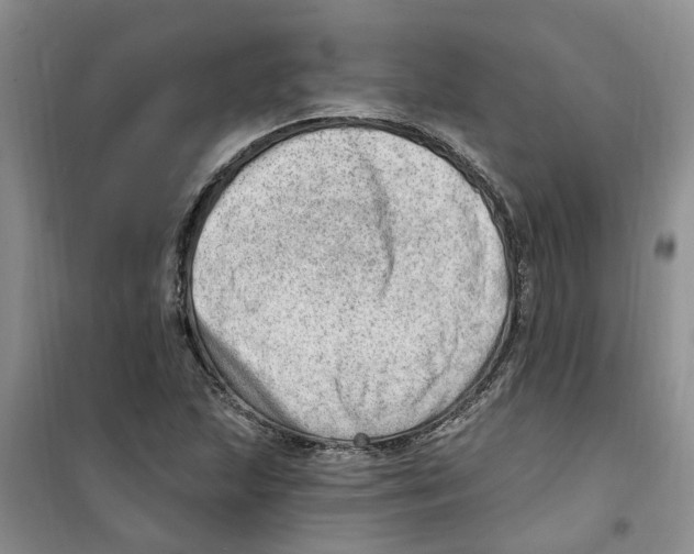 X0000100961215200807221137