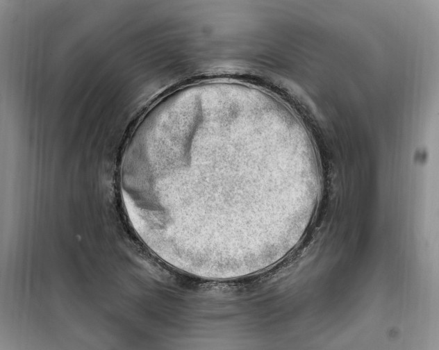 X0000100961217200807221137