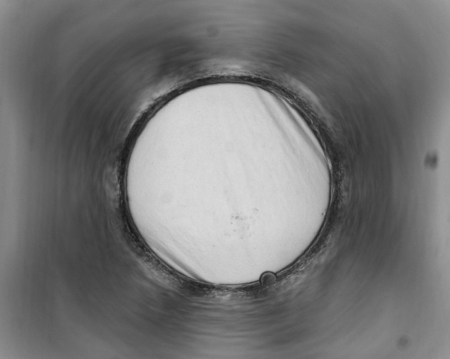 X0000100961218200807221137