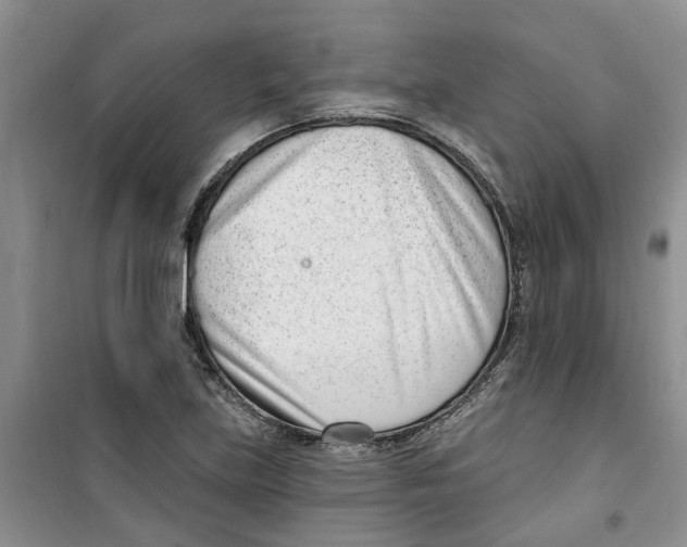 X0000100961219200807221137