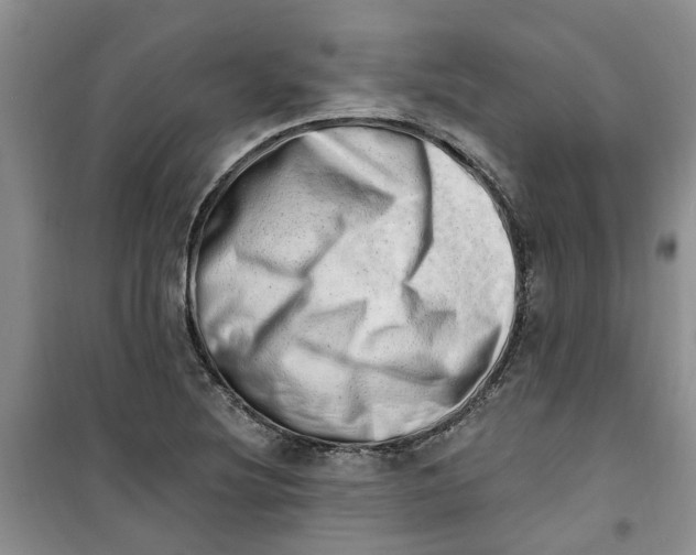 X0000100961220200807221137