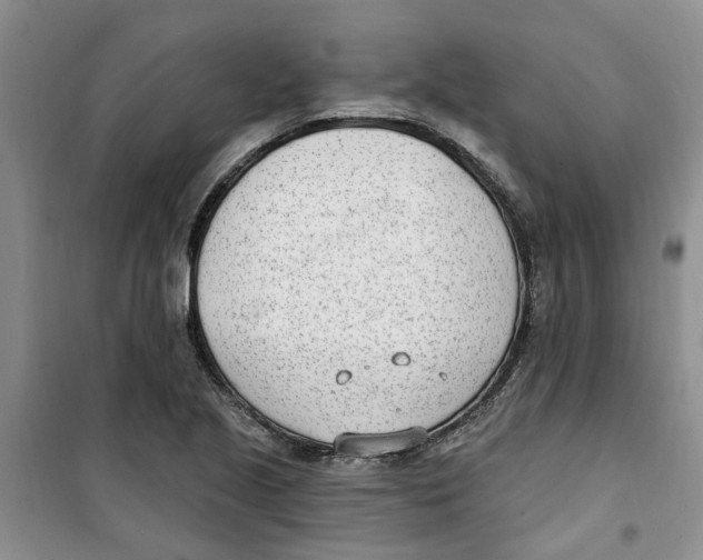 X0000100961221200807221137