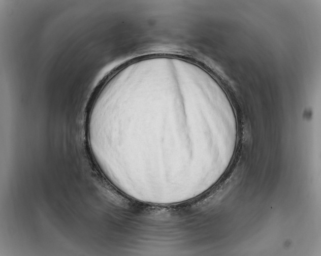 X0000100961222200807221137