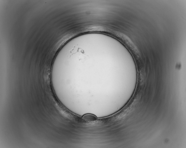 X0000100961225200807221137