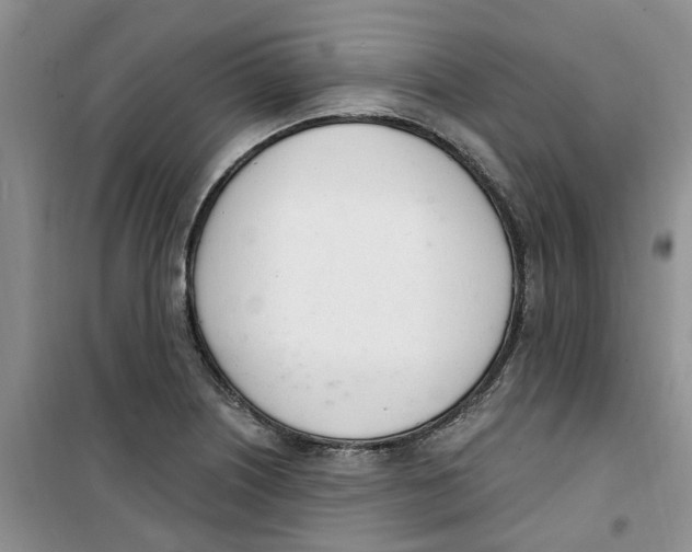 X0000100961226200807221137