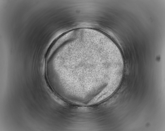 X0000100961227200807221137