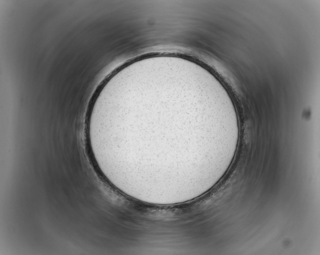 X0000100961229200807221137