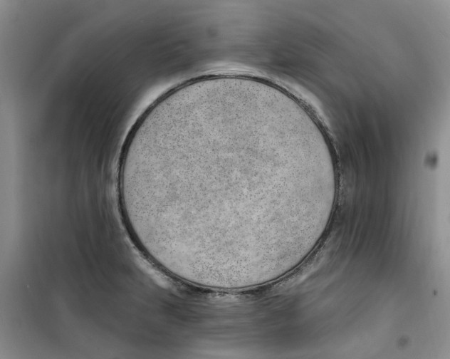 X0000100961231200807221137