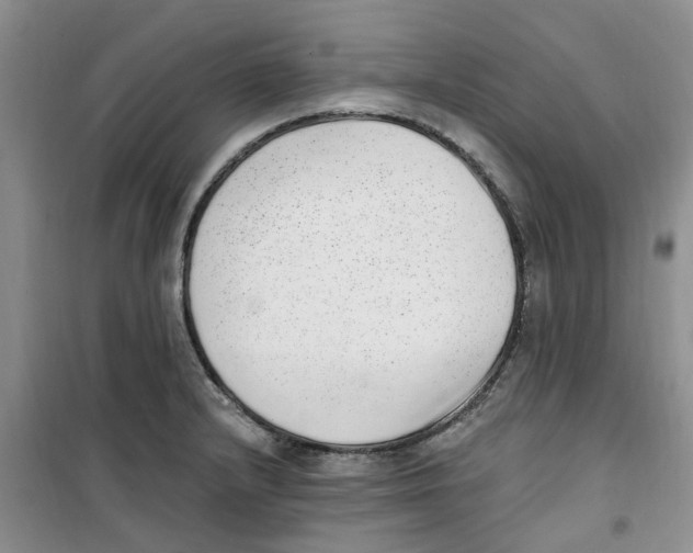 X0000100961232200807221137