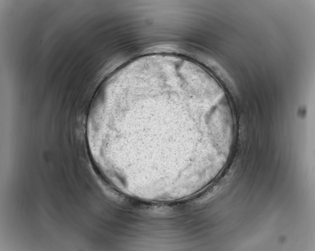 X0000100961233200807221137