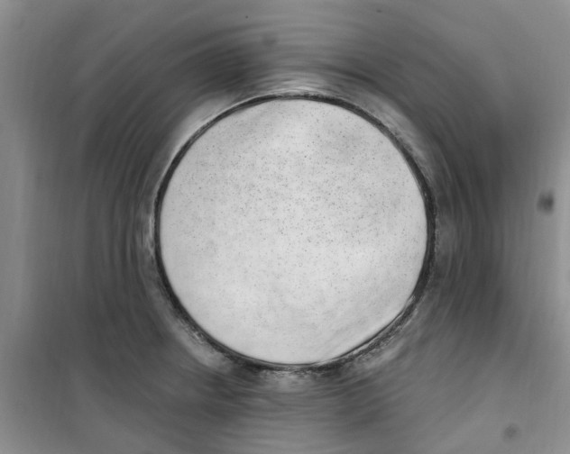 X0000100961234200807221137