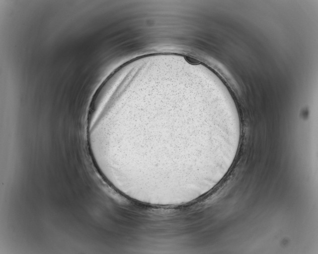 X0000100961236200807221137