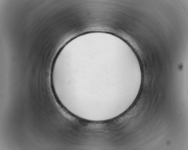 X0000100961237200807221137