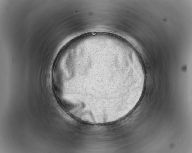 X0000100961238200807221137