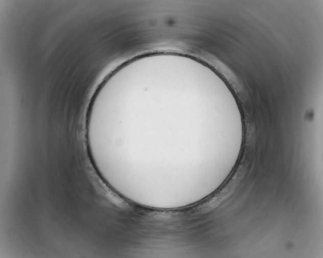 X0000100961240200807221137