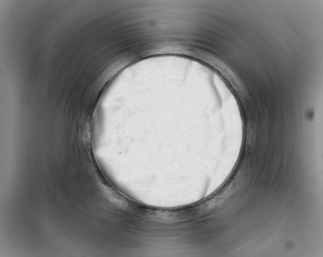 X0000100961241200807221137