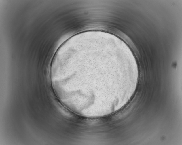 X0000100961242200807221137