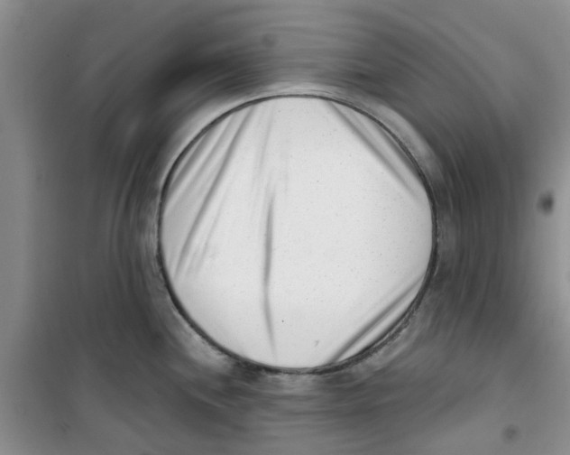 X0000100961244200807221137