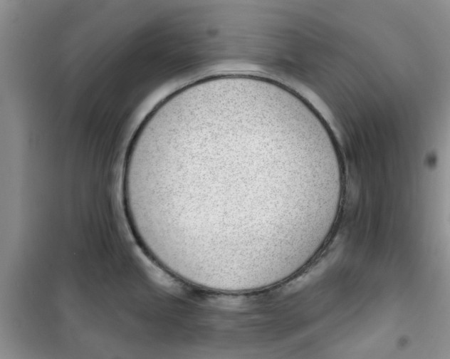 X0000100961245200807221137