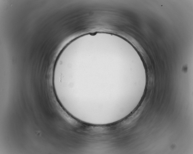 X0000100961246200807221137