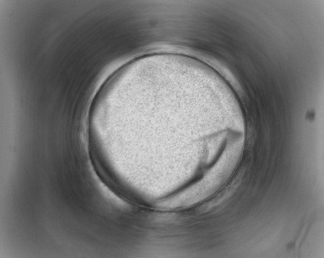 X0000100961247200807221137