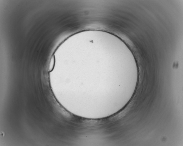 X0000100961248200807221137