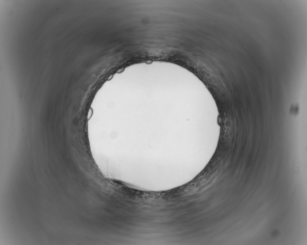 X0000100961249200807221137