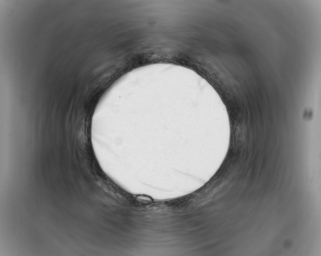 X0000100961250200807221137