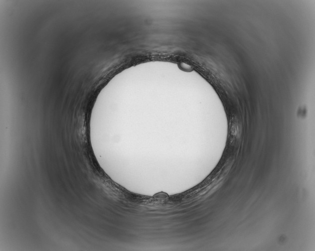 X0000100961252200807221137